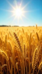 Golden wheat field shimmering under a bright sun, ripe for harvest Abundant stalks sway gently in the breeze, a picturesque autumn scene , farm, background