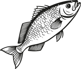 Minimal black and white line drawing of a fish with smooth outline, clean vector art, perfect for seafood packaging label