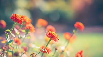 A lush garden filled with vibrant flowers bathed in warm summer sunlight, creating a dreamy atmosphere.