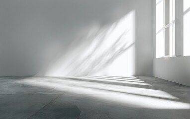 Sunlit, empty white room with concrete floor. Shadows from a large window create a dramatic effect