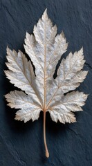 Close-up of a light beige, dried leaf