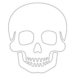 Minimalist Line Art of Human Skull – Black Outline Vector for Anatomy, Halloween, or Gothic Design