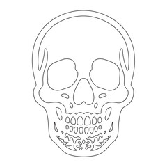 Minimalist Line Art of Human Skull – Black Outline Vector for Anatomy, Halloween, or Gothic Design