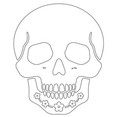 Minimalist Line Art of Human Skull – Black Outline Vector for Anatomy, Halloween, or Gothic Design
