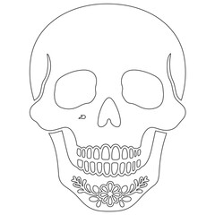 Minimalist Line Art of Human Skull – Black Outline Vector for Anatomy, Halloween, or Gothic Design