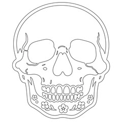 Minimalist Line Art of Human Skull – Black Outline Vector for Anatomy, Halloween, or Gothic Design
