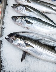 Fresh fish on ice (1)