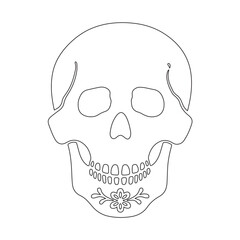 Minimalist Line Art of Human Skull – Black Outline Vector for Anatomy, Halloween, or Gothic Design