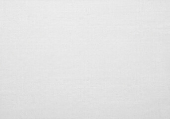 Clean White Woven Fabric with a Fine Texture