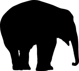 Elephant Animal Silhouette Vector Illustration. Large Mammal Black Icon. Wildlife and Safari Nature Symbol Design for Jungle, Zoo, or African Animal Graphic Isolated.