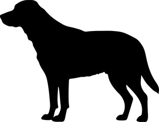 Dog Silhouette Isolated on White Background

