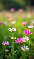 Delicate pink and white Mayflower wildflowers blooming in a lush green meadow, bathed in soft sunlight A vibrant display of springtime nature at its finest , botany, vibrant, botanical