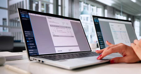 Electronic Invoice Receipt For Online Payment: Female Accountant