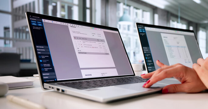 Electronic Invoice Receipt For Online Payment: Female Accountant