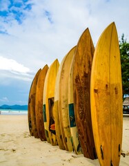 Surfboards lined up on sandy beach