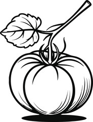  Simple black and white line art of fresh tomato with leaf stem, clean vector outline, organic food packaging design 3