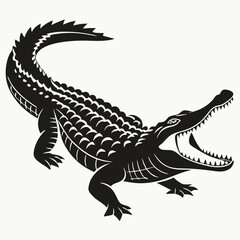 crocodile in a white background