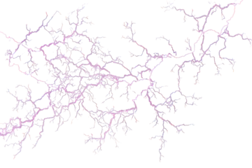 Abstract Pink and Purple Network on Black Background