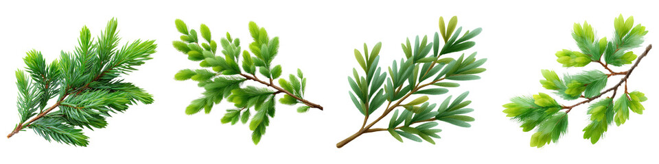 Farmhouse Christmas decor set watercolor, A collection of vibrant green branches showcasing various types of coniferous leaves.