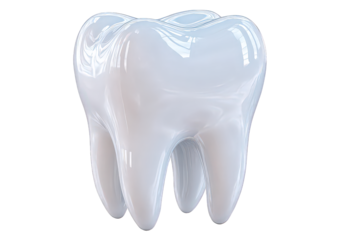 Single Human Tooth Digital Rendering on Transparent Background