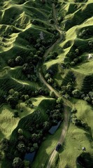 Aerial view of a winding dirt road cutting through grassy hills dotted with trees, creating a serene and textured landscape under soft lighting