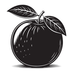 Black pitanga Silhouette Vector, High Quality Illustration on White Background