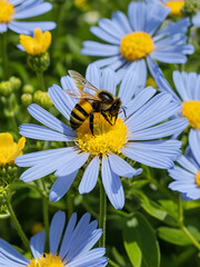 Bee with flowers