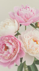 Soft Pink and Cream Peonies in Close-Up Bouquet