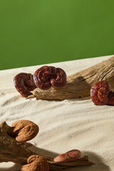 Reishi mushrooms are arranged with a round wood log on smooth sand, framed by a soft green backdrop, ideal for natural medicine or product presentation.
