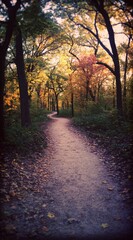 Naklejka premium Winding path through vibrant autumnal woods, trees dressed in gold, orange, and red under a warm sky. A journey through nature