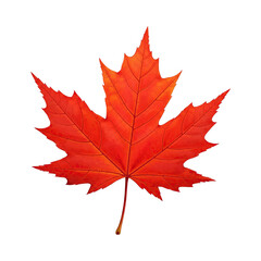 Vibrant Red Maple Leaf Isolated on Black Background Autumn Season