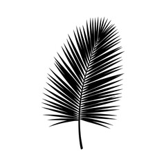 Obraz premium Black background abstract dark texture blank empty space design wallpaper