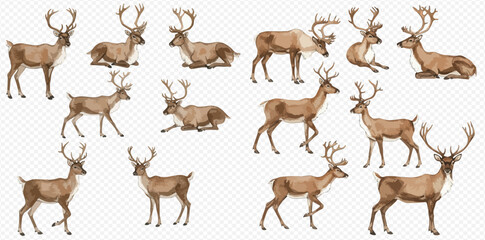 A collection of illustrated reindeer with large antlers in various poses, including standing, walking, and resting. © studio