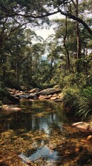 Fototapeta premium A serene vertical landscape showcases a gentle stream winding through a lush, dense forest canopy overhead. Sunlight filters through the leaves, creating dappled light