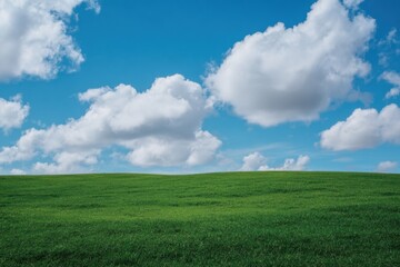 Obraz premium Expansive grassy plain under a vibrant blue sky dotted with fluffy white clouds. A gentle hillside rolls across the foreground