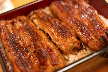 美味しい鰻重	