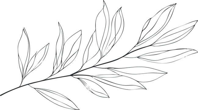 Minimalistic line art of a single botanical branch with delicate leaves in black outline
