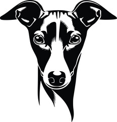 Italian Greyhound head silhouette with sleek muzzle, upright ears, and expressive eyes in vector