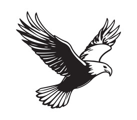 Flying Bald Eagle with Claws