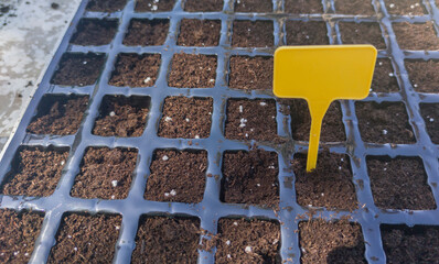 Springtime propagation gardening tasks
