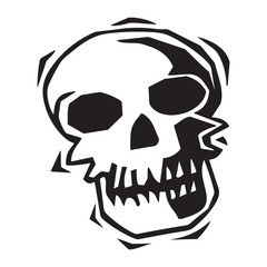 Human Skull Illustration