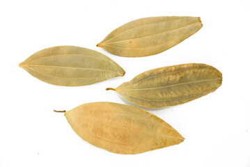 Dried bay leaves (Laurus nobilis) isolated on white background. It is also known as Tej Pata,...