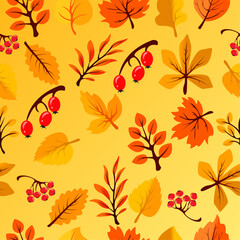 Autumn pattern