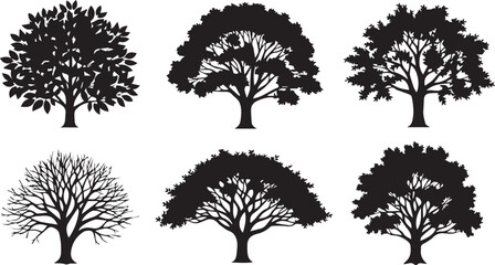 Fototapeta premium Vector art of collection of tree silhouette for design use