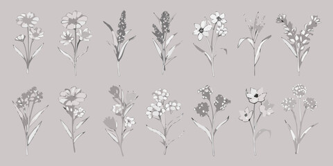 Collection of delicate watercolor floral illustrations in shades of grey on a neutral background