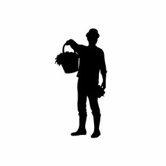 Silhouette of vineyard worker harvesting grapes in a basket