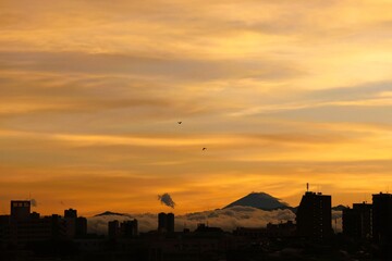 Fototapeta premium View of Mount Fuji from Tokyo with a sea of ​​clouds after a typhoon