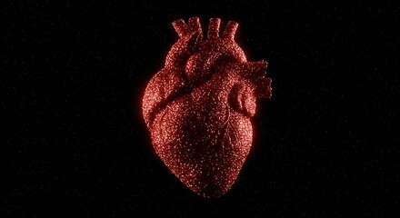 Anatomical heart made of red glitter on a black background with stars, symbolizing love and health