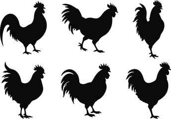 Rooster silhouette collection, chicken farm bird vector set, poultry animal illustration, countryside farming icons design, CAD drawing flat vector illustration