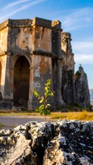 Ancient stone structure with a small sprout